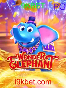WonderElephant